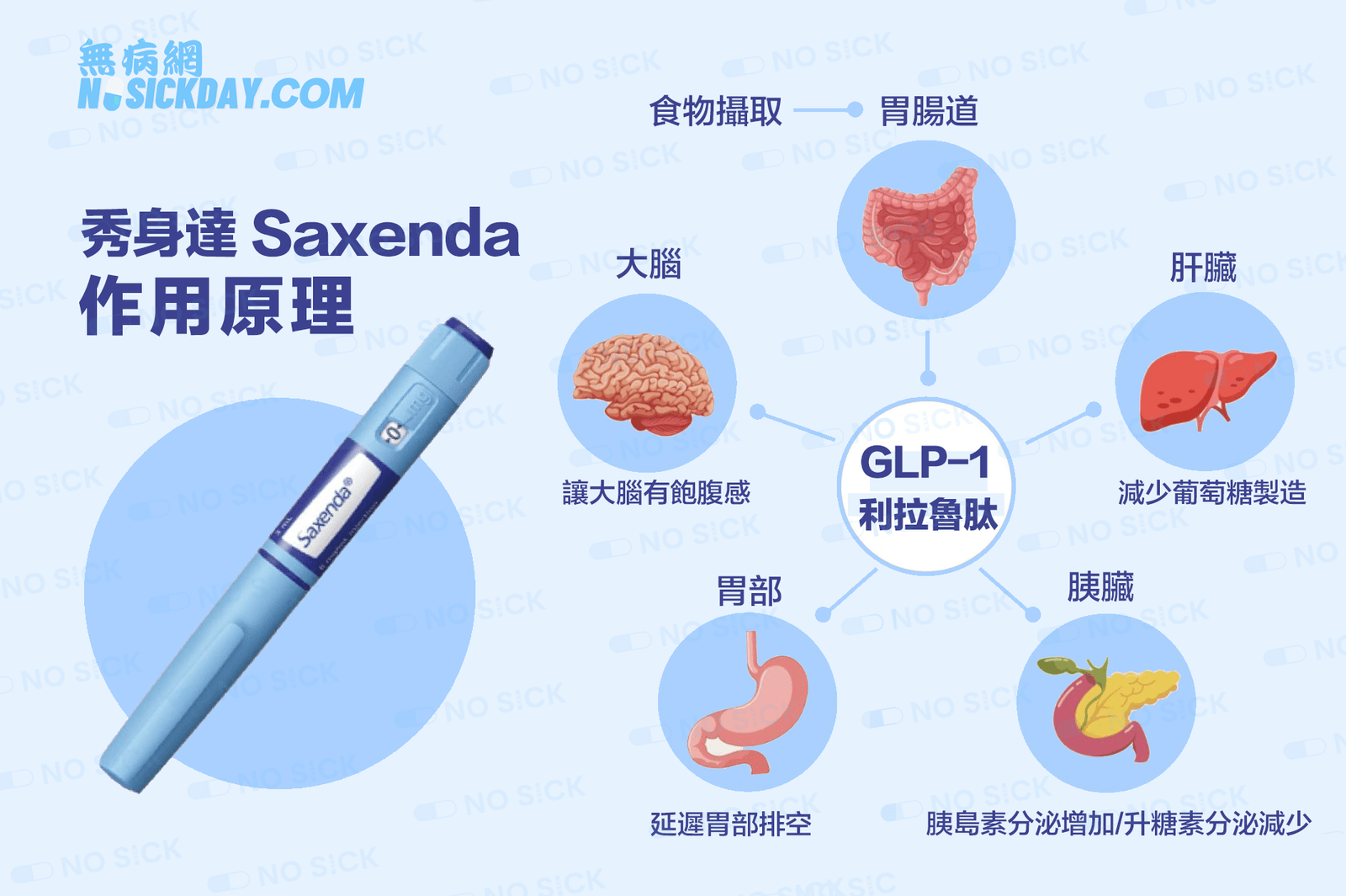 Saxenda 科學原理示意圖