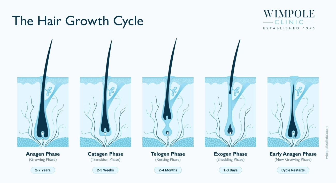 At-Home Hair Pull Test Benefits