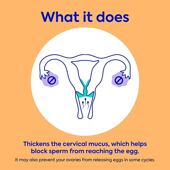 How to Start and Take Birth Control Pills